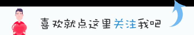 帕萨特新领域_帕萨特新车多少钱_新帕萨特