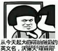 大众NMS_大众nms平台_大众nms是什么车