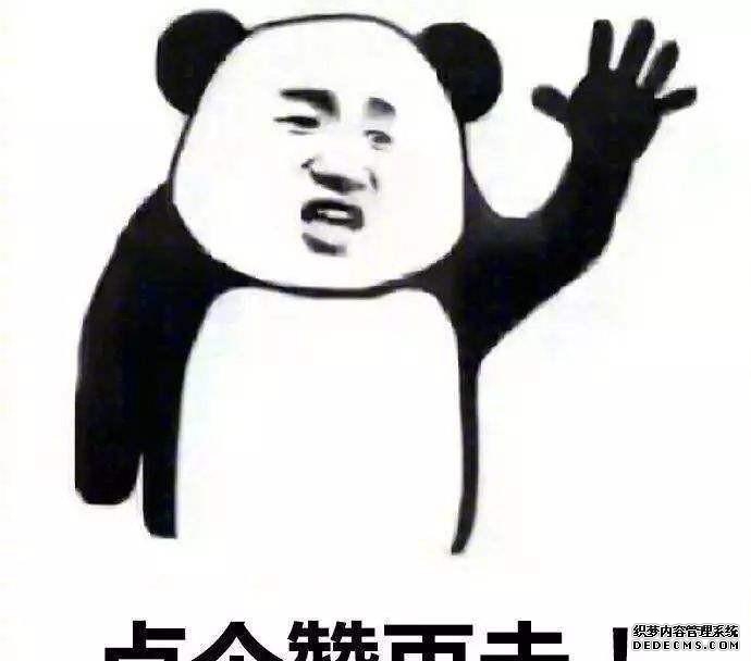 进口帕萨特B5_进口帕萨特旅行版_进口帕萨特