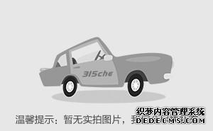 大众nms价格_大众NMS_大众nms是什么车
