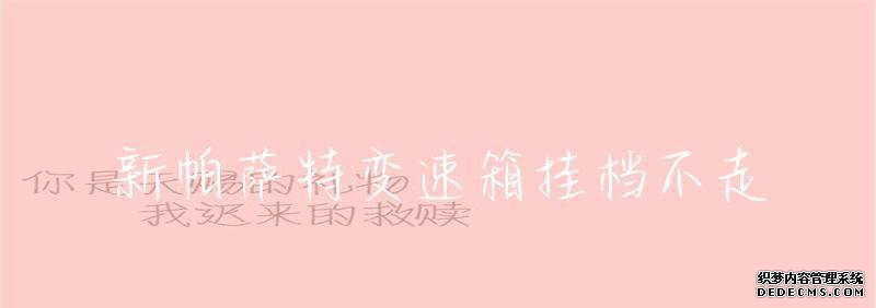 箱变速帕萨特油耗多少_帕萨特变速箱_2021款帕萨特变速箱
